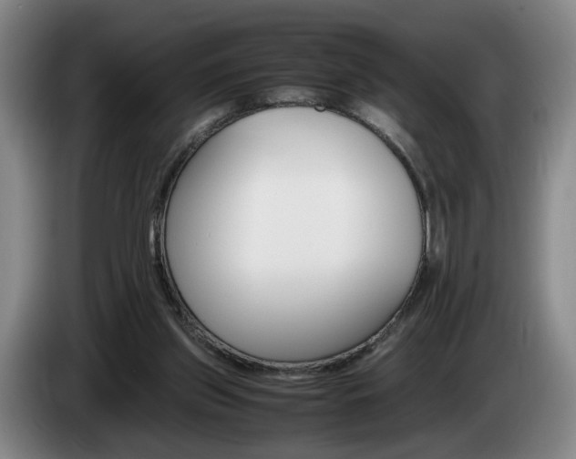 X0000085310157200703091101