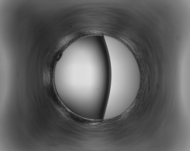 X0000085310158200703091101