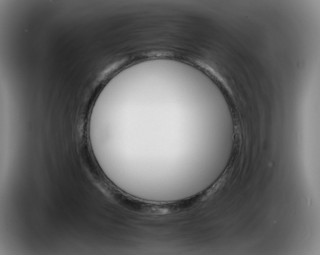 X0000085310159200703091101