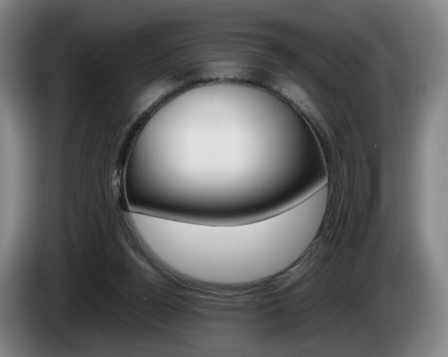 X0000085310160200703091101