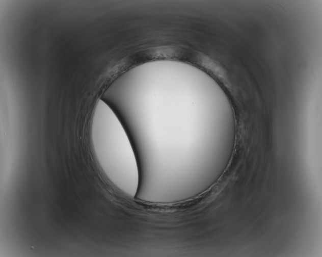 X0000085310161200703091101