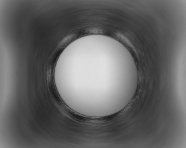 X0000085310163200703091101