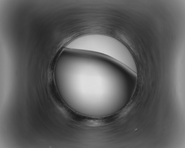 X0000085310164200703091101