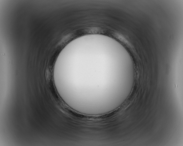 X0000085310165200703091101