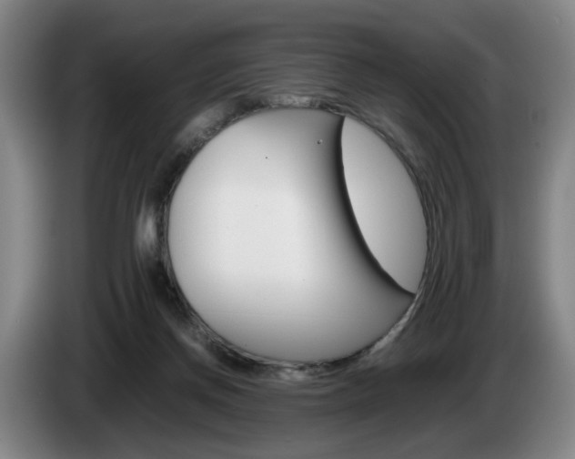 X0000085310166200703091101