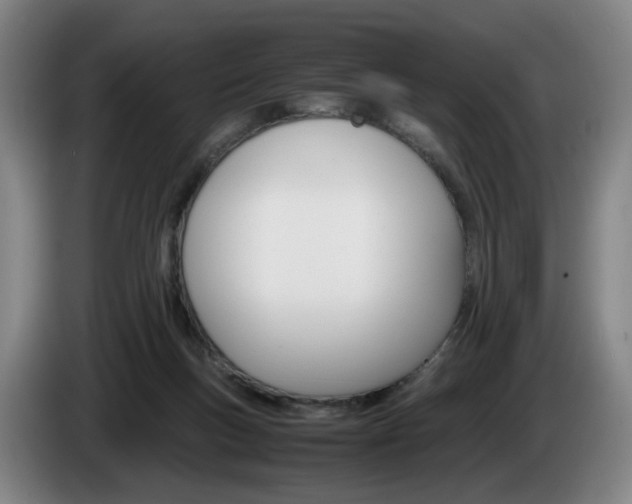 X0000085310167200703091101
