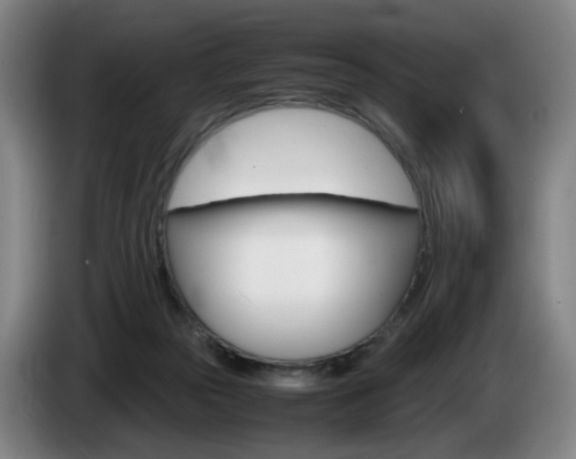 X0000085310169200703091101