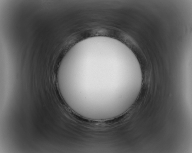X0000085310173200703091101