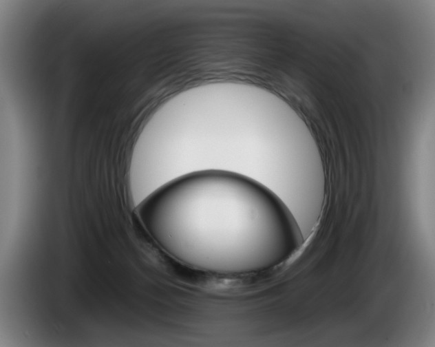 X0000085310174200703091101