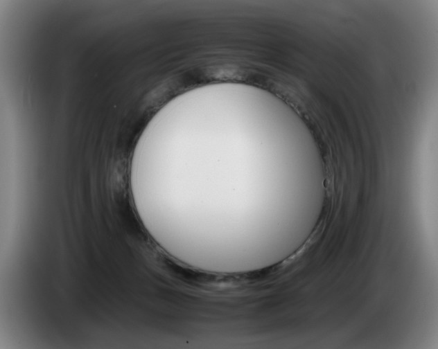 X0000085310175200703091102