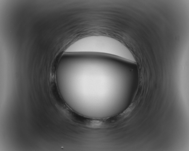 X0000085310176200703091102
