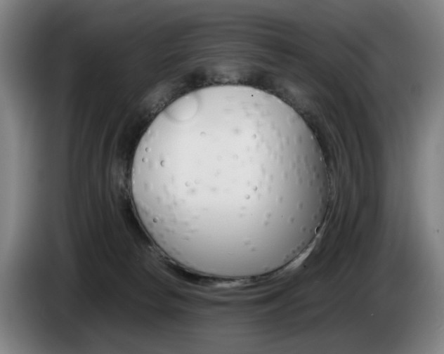 X0000085310178200703091102