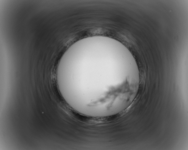 X0000085310179200703091102