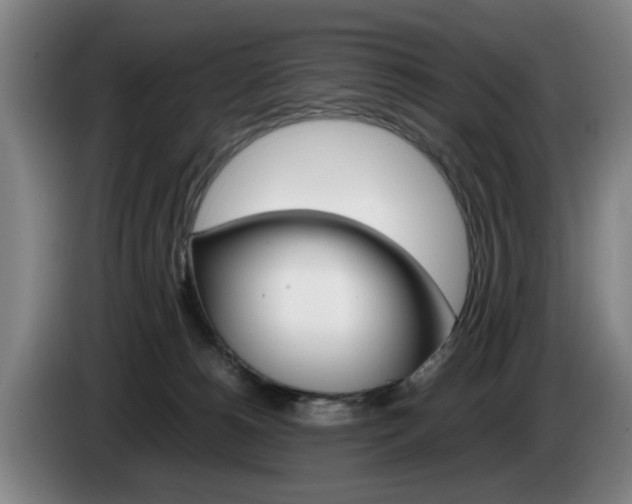 X0000085310180200703091102