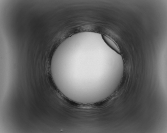 X0000085310181200703091102
