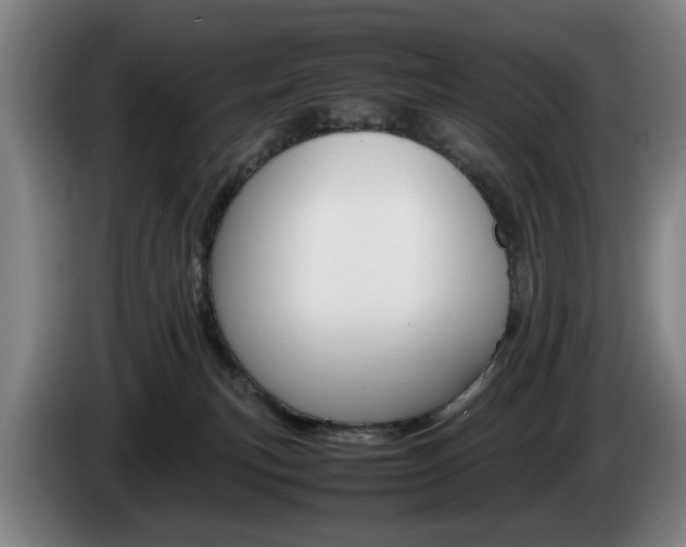 X0000085310183200703091102