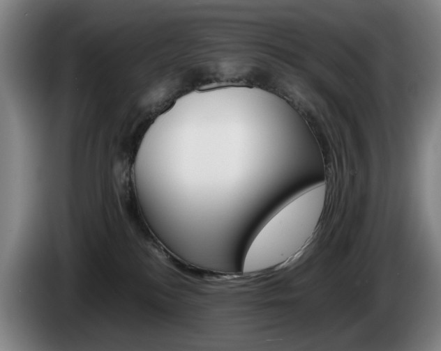 X0000085310184200703091102