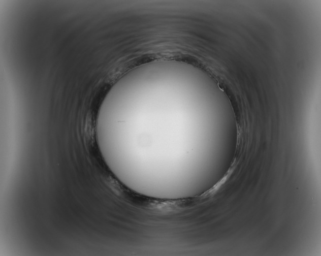 X0000085310186200703091102