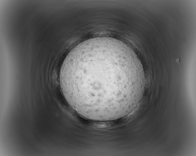 X0000085310187200703091102
