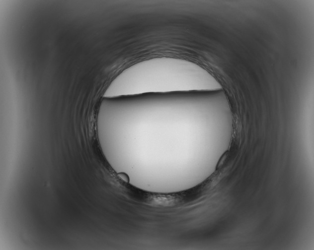 X0000085310189200703091102