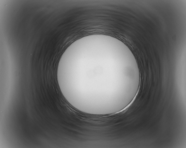 X0000085310190200703091102