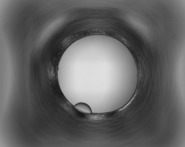 X0000085310191200703091102