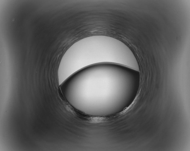 X0000085310192200703091102