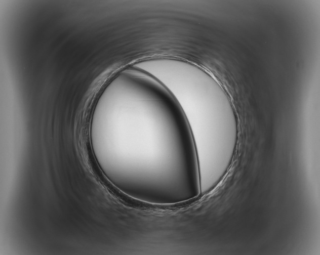 X0000085310193200703091101