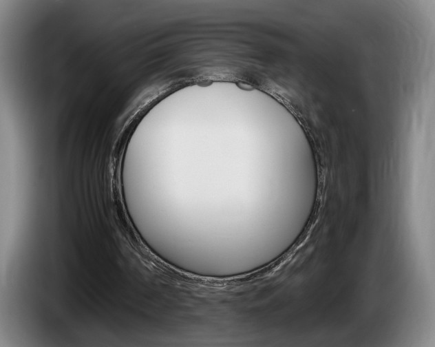 X0000085310194200703091101