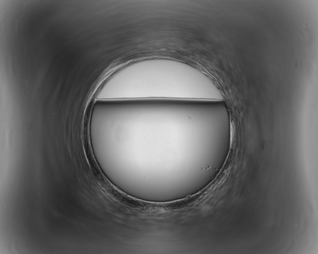 X0000085310195200703091101