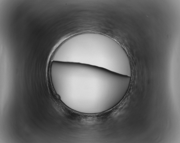 X0000085310196200703091101