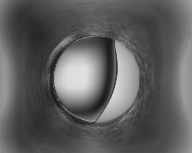 X0000085310197200703091101