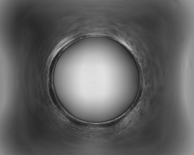 X0000085310199200703091101