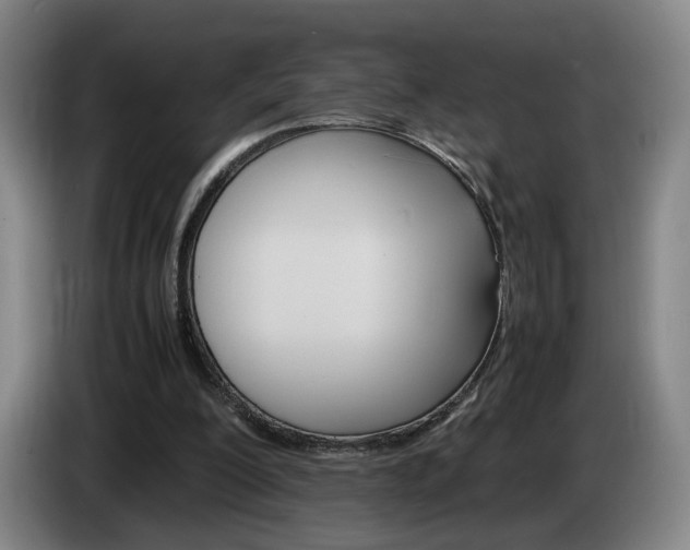 X0000085310200200703091101