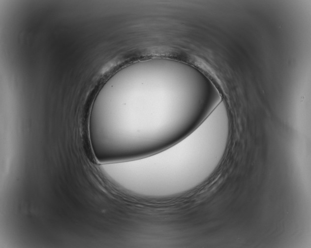 X0000085310203200703091101