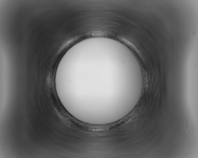 X0000085310208200703091101