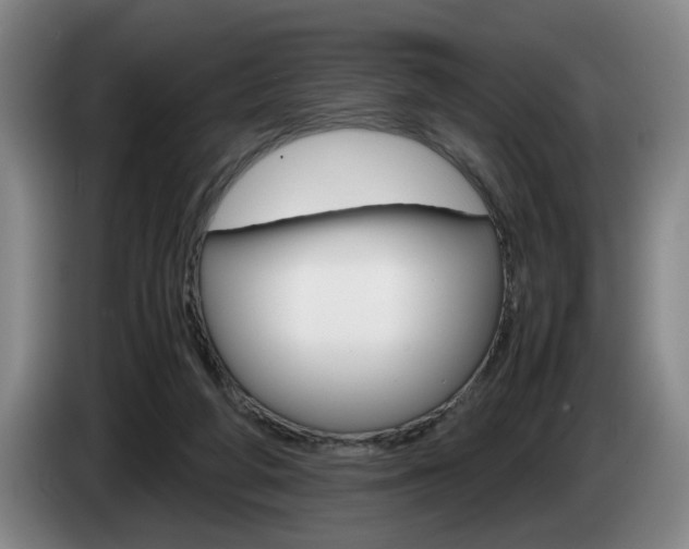 X0000085310210200703091101