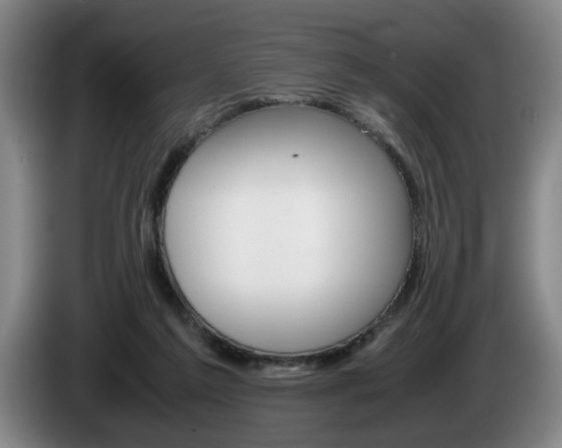 X0000085310213200703091101