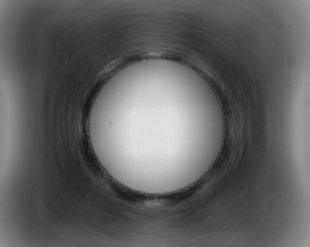 X0000085310216200703091101