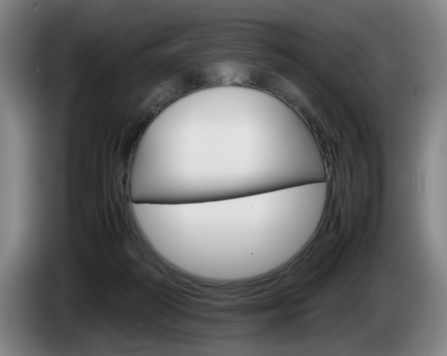 X0000085310218200703091101