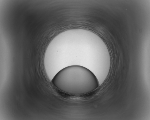 X0000085310219200703091101