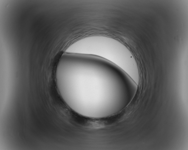 X0000085310221200703091101