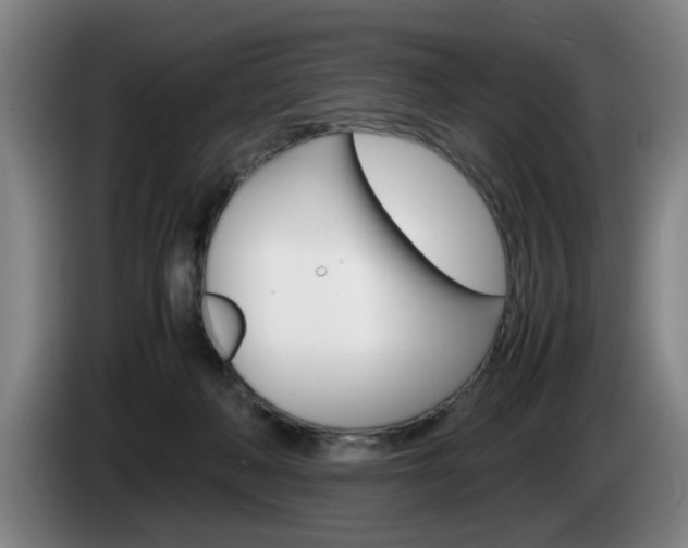 X0000085310222200703091101