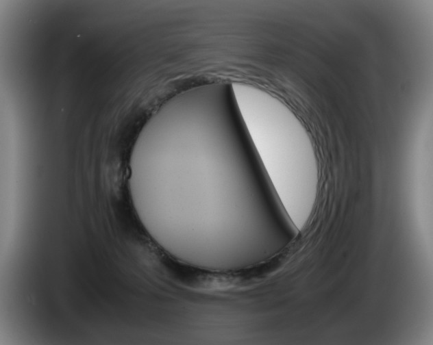 X0000085310223200703091101
