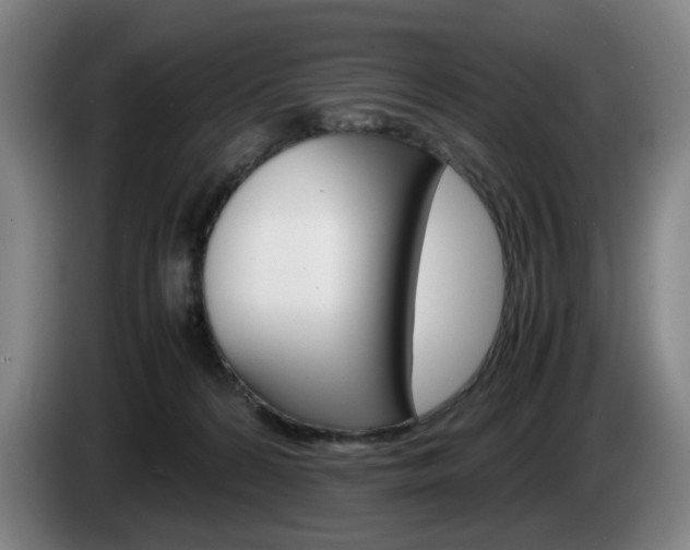 X0000085310224200703091101