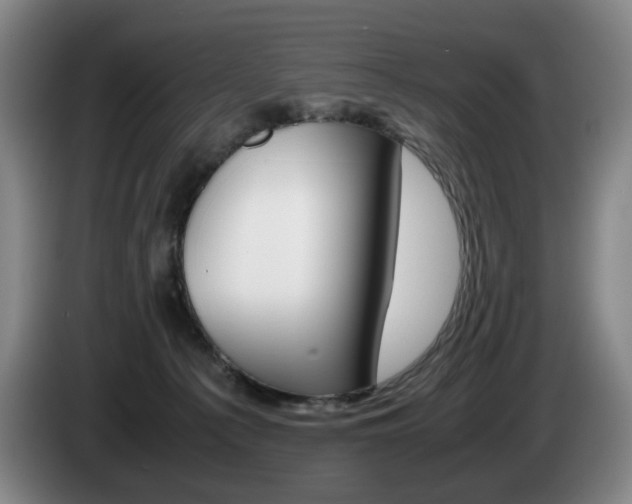X0000085310225200703091101
