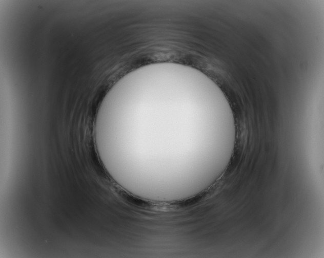 X0000085310226200703091101