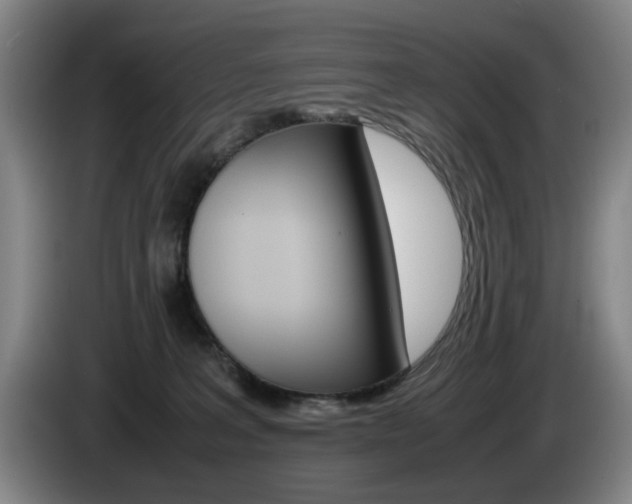 X0000085310227200703091101