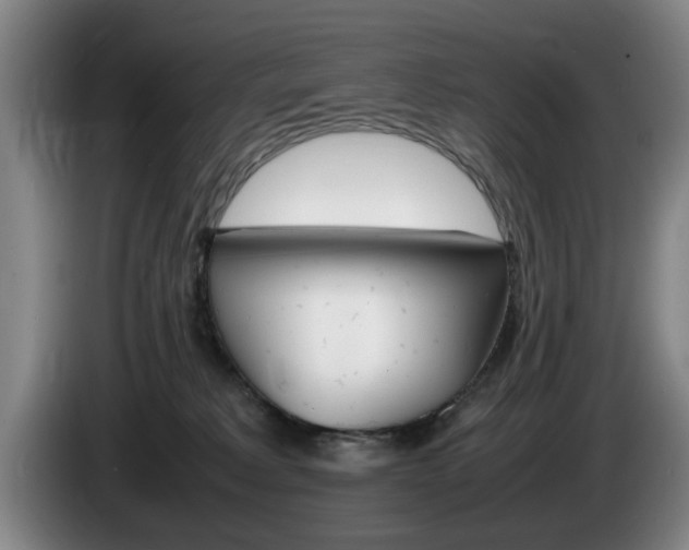 X0000085310229200703091101