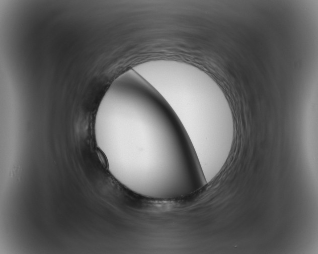 X0000085310233200703091101